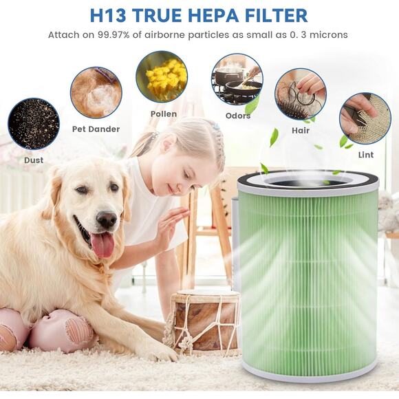 2 Pack H13 True HEPA Replacement Green KILO Pet Filter for KILO Pet Filter - Picture 6 of 10